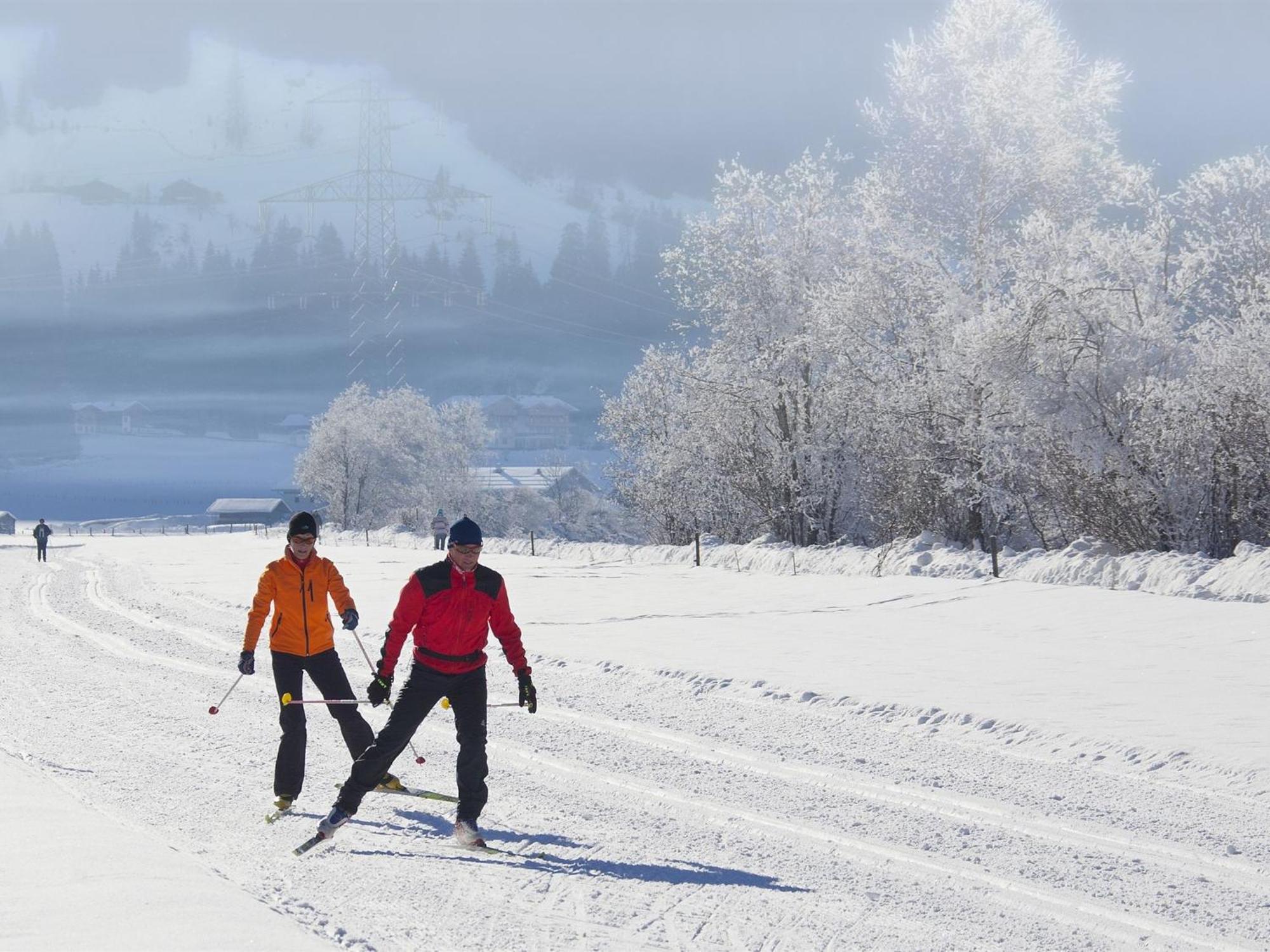 Exquisite Apartment In Mittersill Near Ski Area Eksteriør bilde